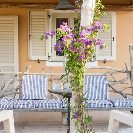 Oliveto - Casa Mazzacorta Ferienhaus *