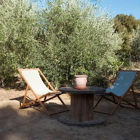 Oliveto - Casa Mazzacorta Ferienhaus