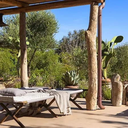 Ferienhaus Oliveto - Casa Mazzacorta