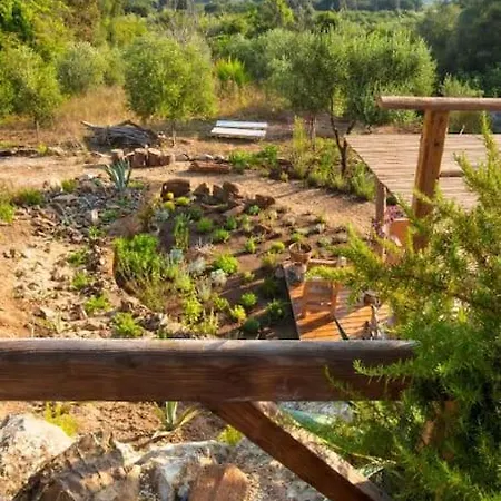 Oliveto - Casa Mazzacorta Casa Ajali
