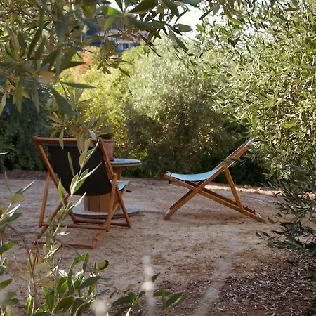 Holiday home Oliveto - Casa Mazzacorta Casa Ajali